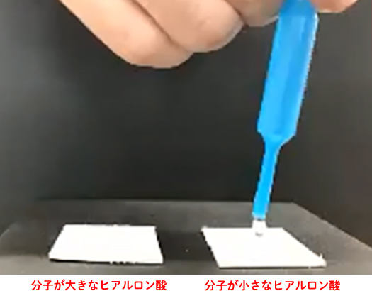 (左)分子量が大きなヒアルロン酸、(右)分子量が小さなヒアルロン酸