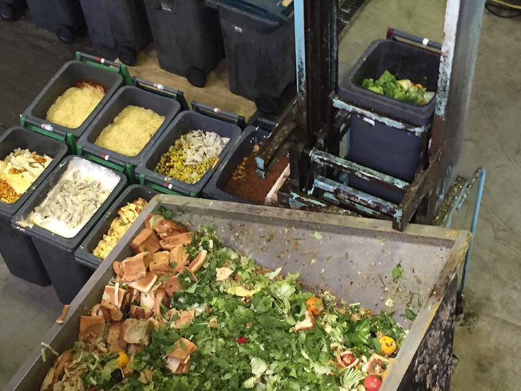 日本フードエコロジーセンター内の様子