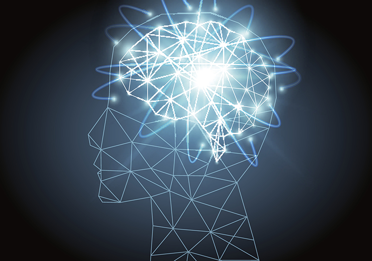 神経細胞のネットワーク作りを助けるノビレチンのイメージ