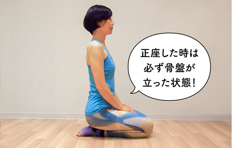 正座した時は必ず骨盤が立った状態！
