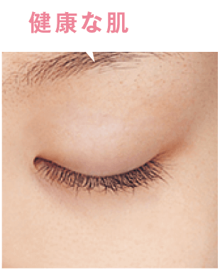 紫外線は、肌の奥深くの細胞まで浸透している！