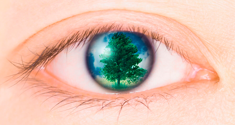 自分の目と、長く上手に付き合う方法