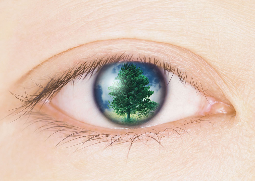 カギは『ムチン層』にあり！ドライアイのメカニズム