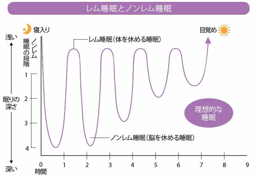 美と健康のもと！睡眠を徹底分析！