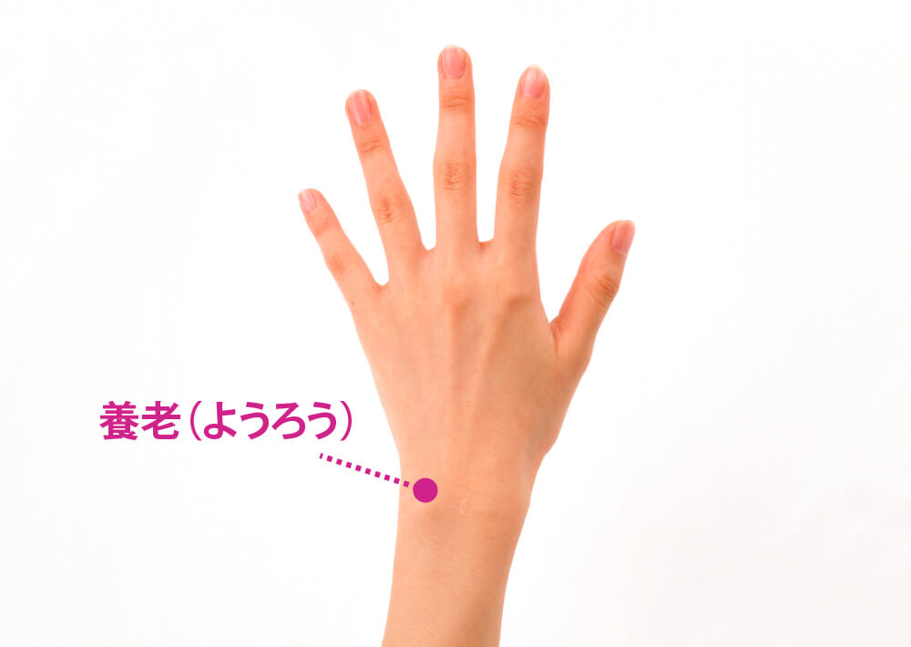 養老（ようろう）