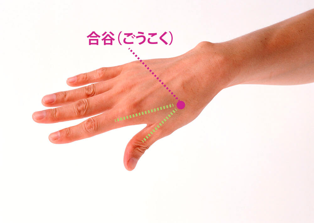 合谷（ごうこく）