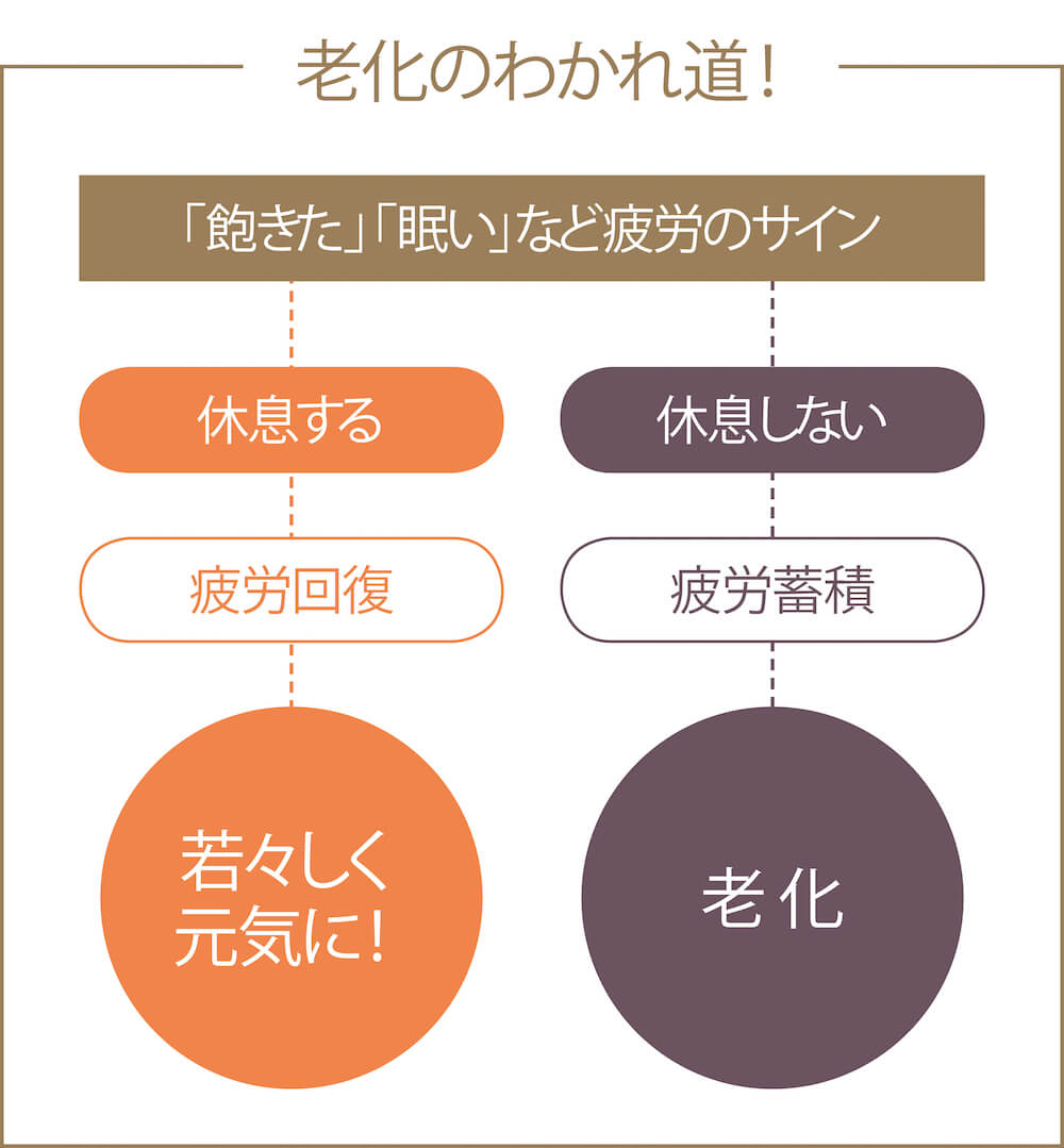 老化の分かれ道