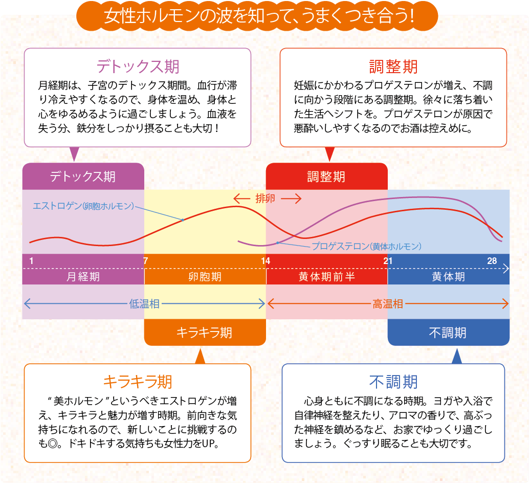 老化の分かれ道