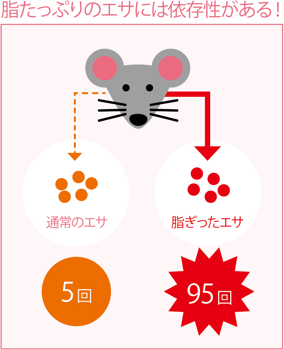 脂たっぷりのエサには依存がある！