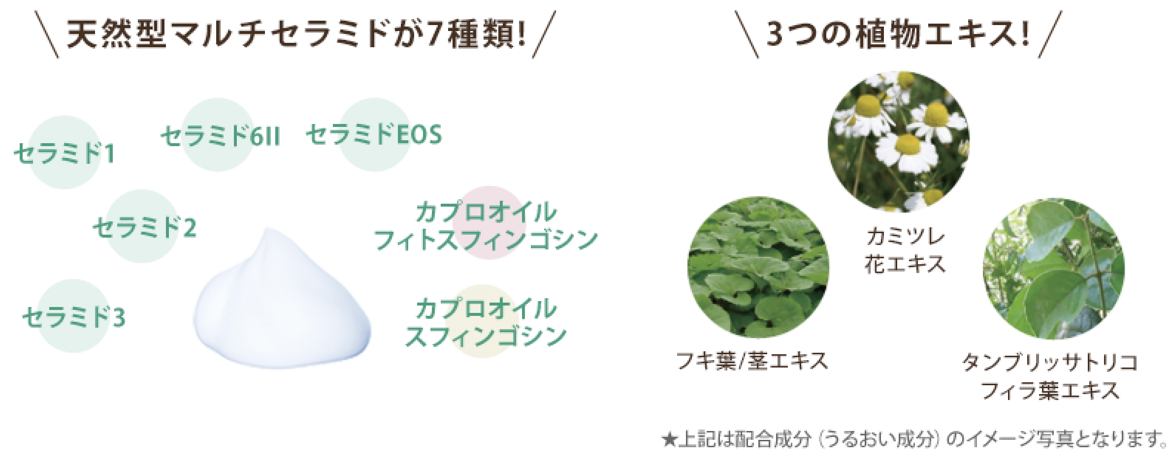 ヒミツ②　天然型セラミドを配合したセラミドホイップ