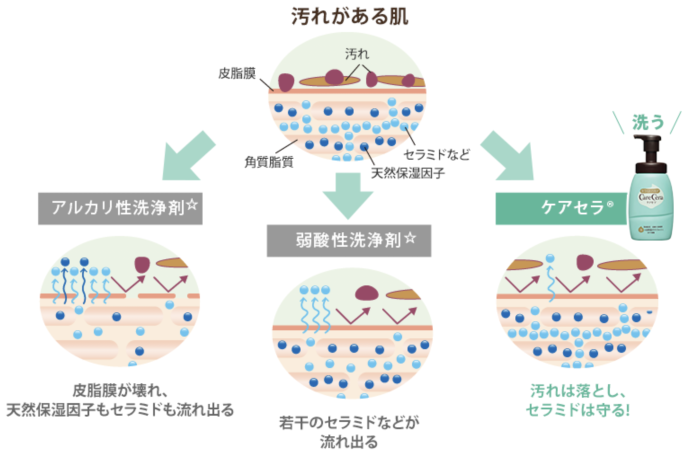 ヒミツ③　汚れだけを落とす「次世代洗浄技術」