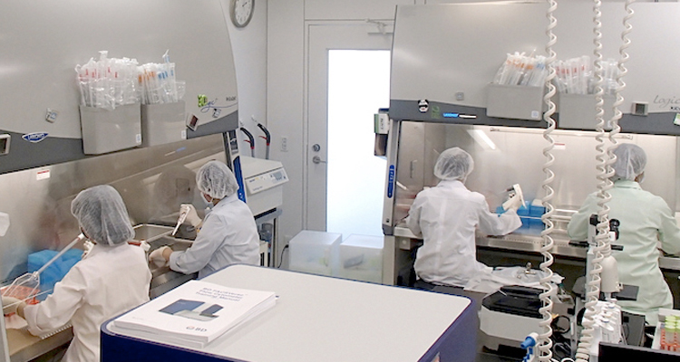 研究に取り組む再生医療研究企画部のメンバー