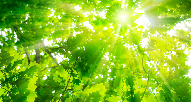 ① 春の陽射しに要注意