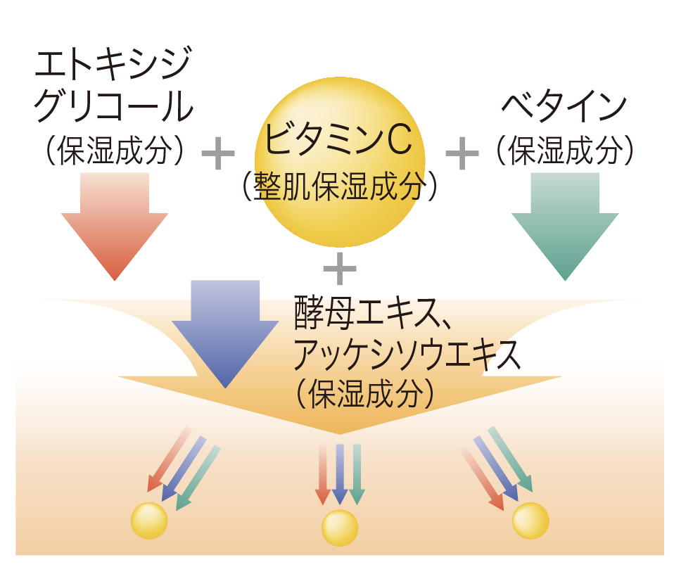 独自の高浸透技術で角層の奥深くまでしっかりと