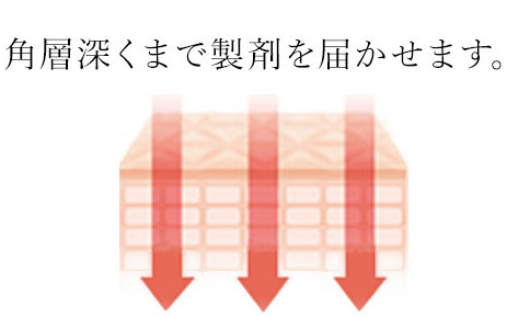 成分をしっかり届ける技術（ディープターゲットデリバリー）